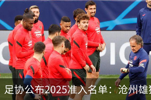 足协公布2025准入名单：沧州雄狮、广州队无缘